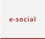 e-social